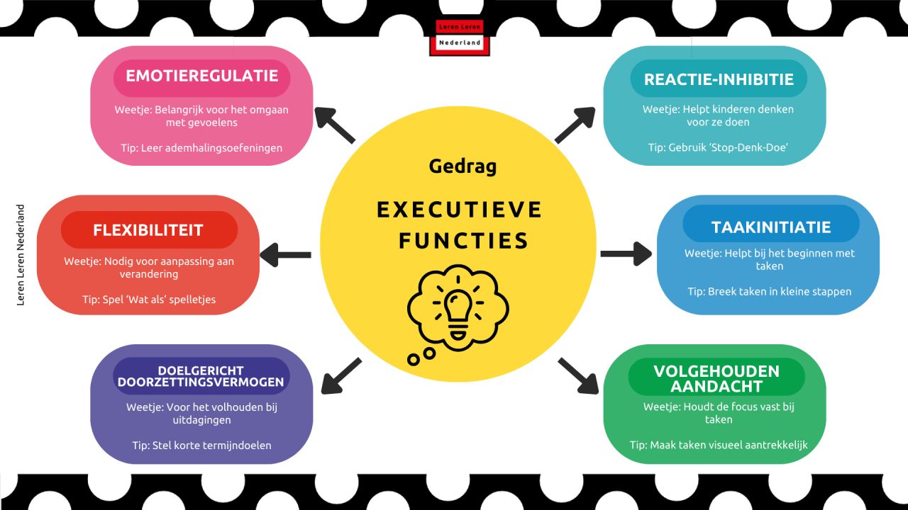 Executieve Functies In De Praktijk Leren Leren Nederland