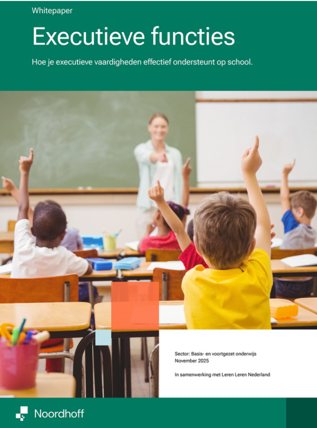 Afbeelding van Leren Leren Nederland