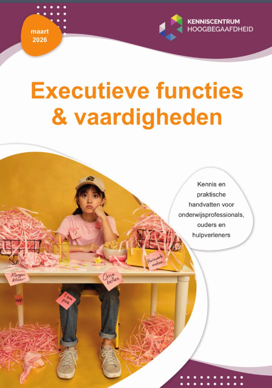 Afbeelding van Leren Leren Nederland