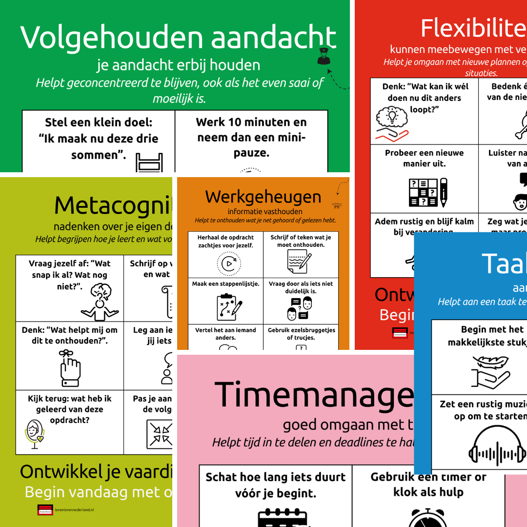 Afbeelding van Leren Leren Nederland