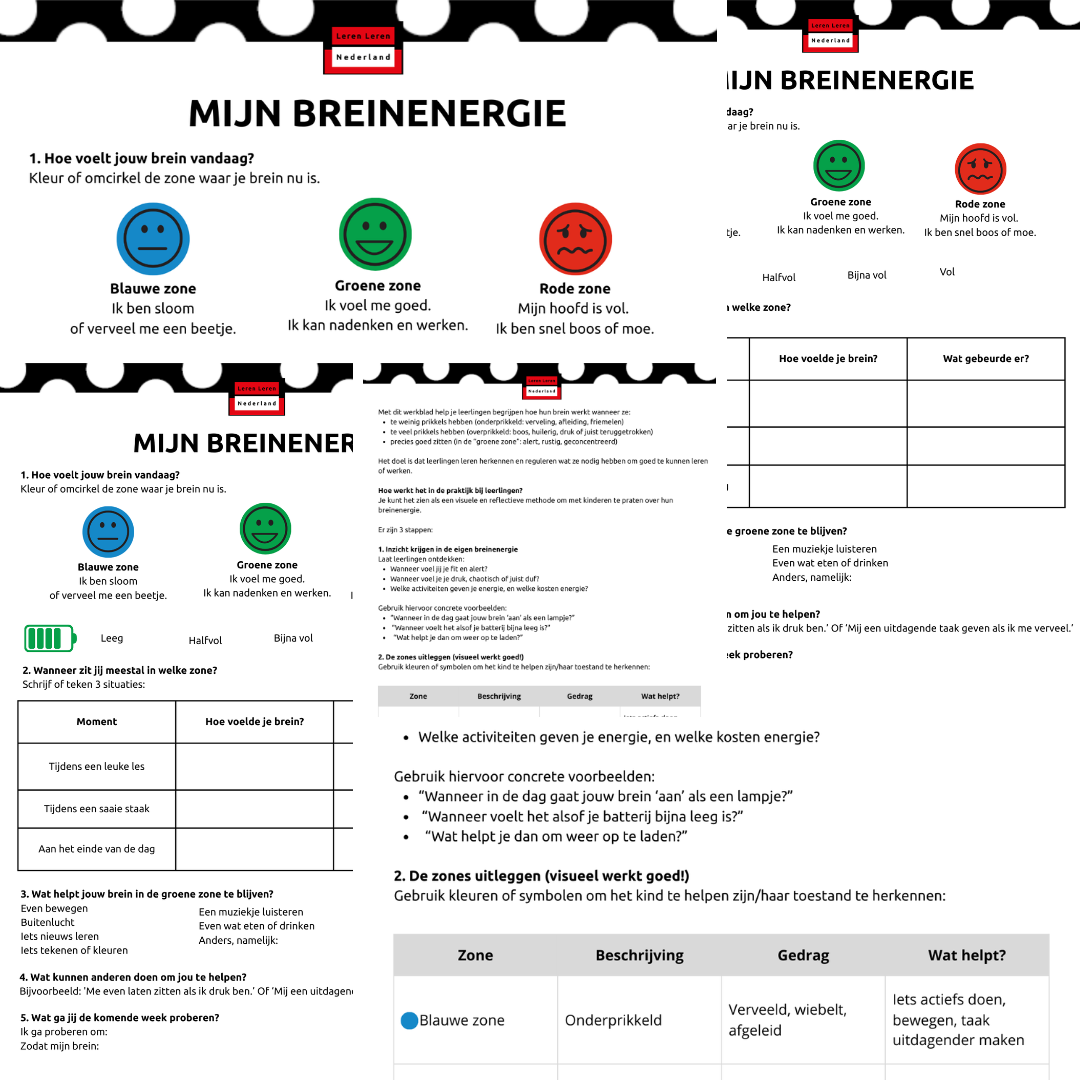 PDF - Mijn Breinenergie