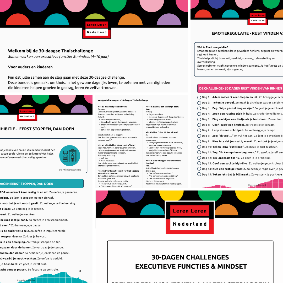 PDF - 30-dagen Challenge EF en Mindset - Ouders & Verzorgers