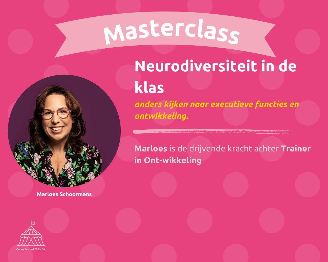 Afbeelding van Leren Leren Nederland